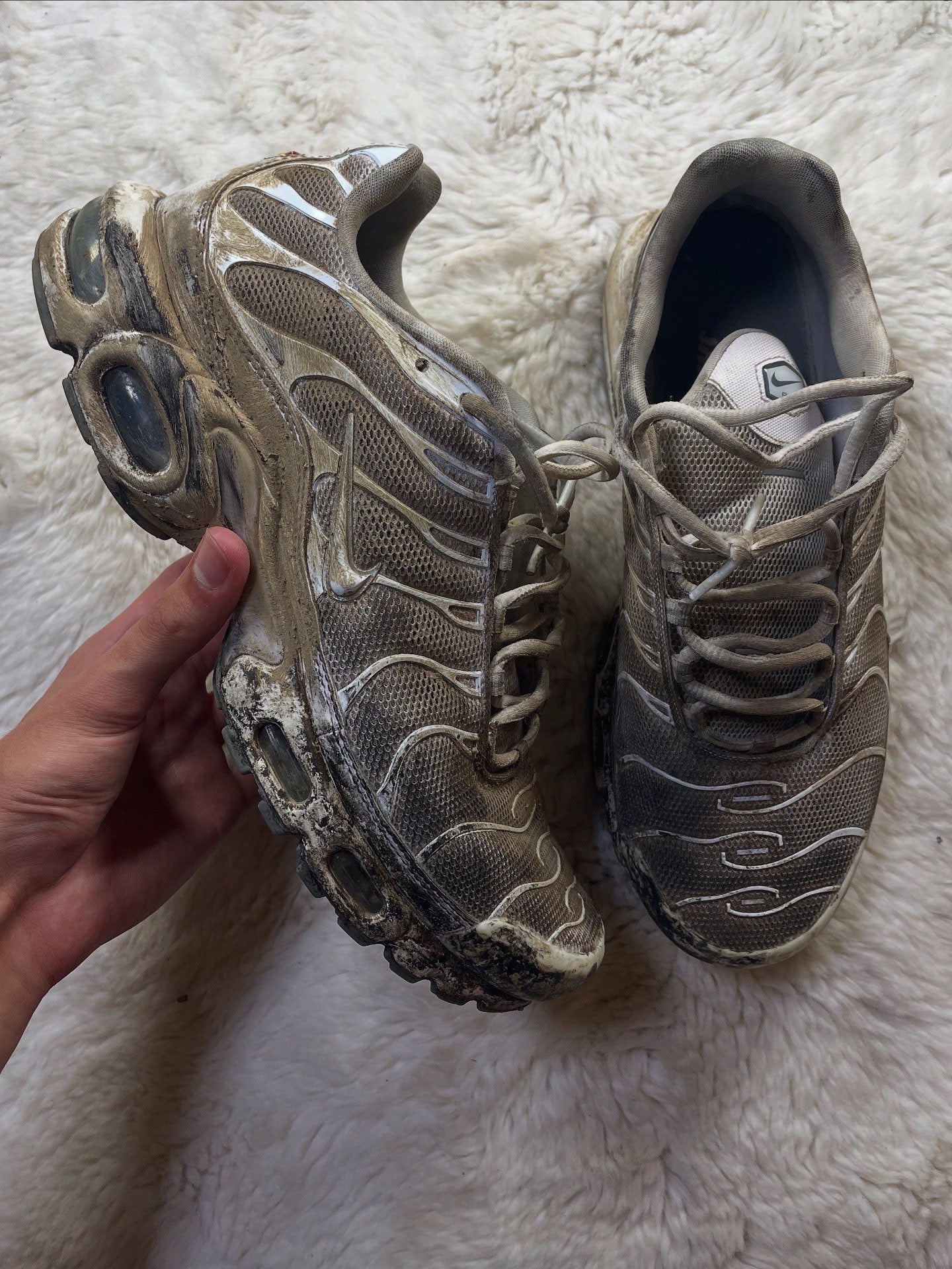 Rénovation Complète (Etat Très Sale)