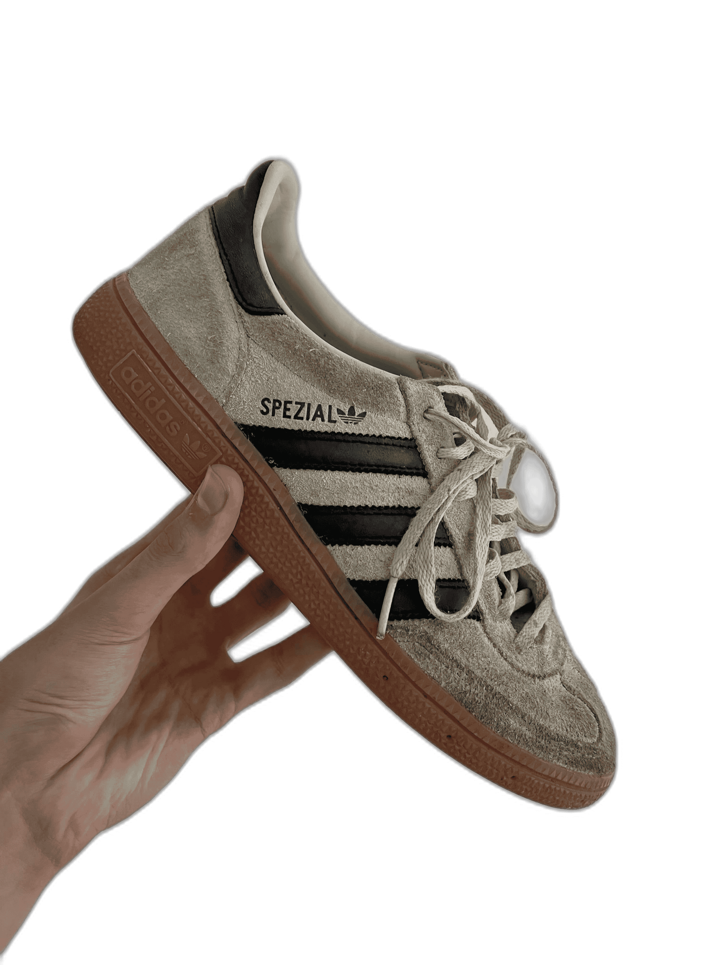 Rénovation Complète (Etat Sale)