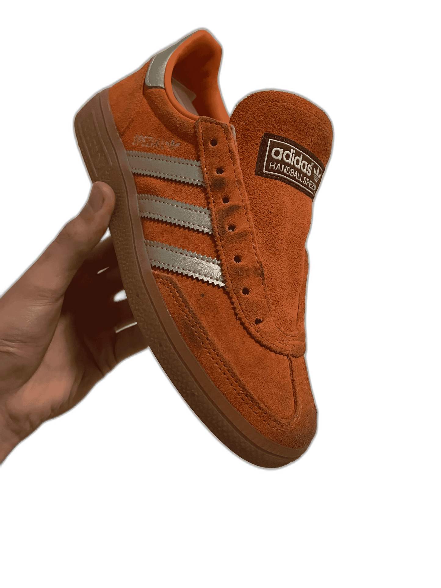 Rénovation Complète (Etat : Bon Etat)